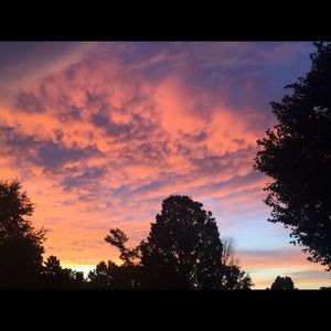 Meet your Posher, Ginger